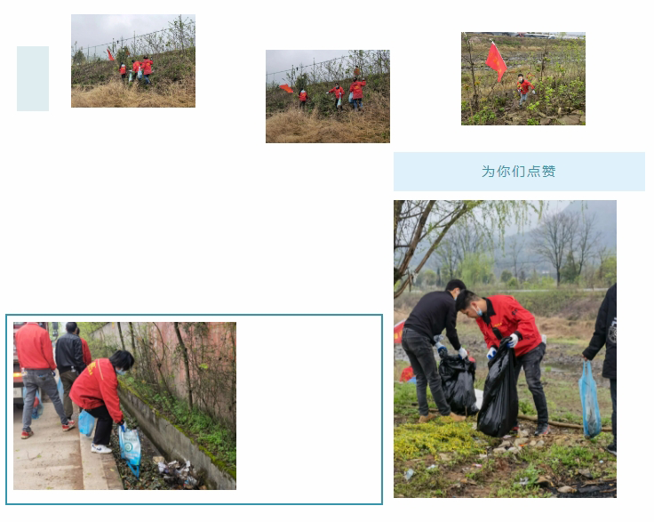 1661850718880.jpg 1661850718880.jpg